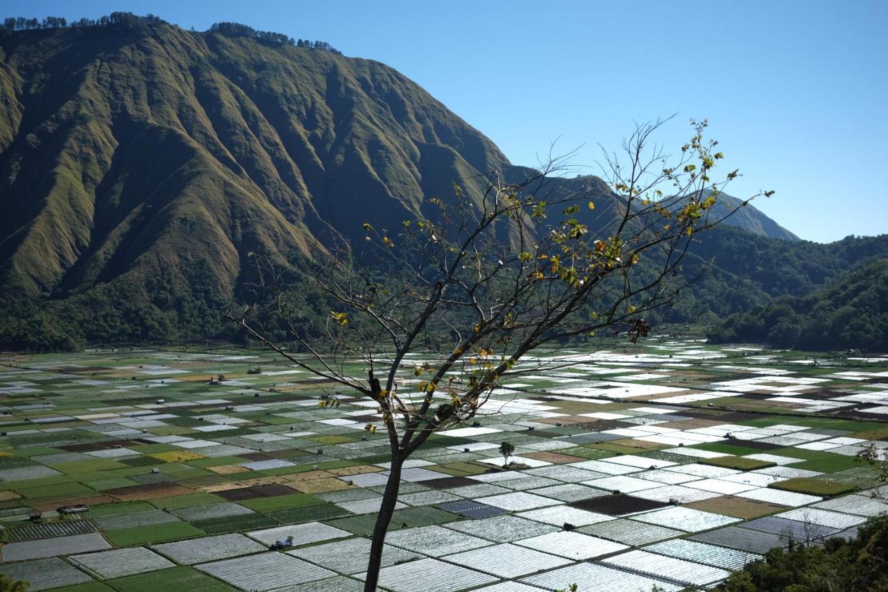 Rinjani Green Park Syariah Hotel Sembalunlawang Exterior photo